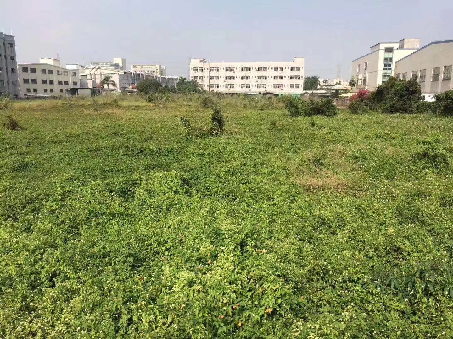 東莞道窖國(guó)有土地證地皮出售位置好格局方正